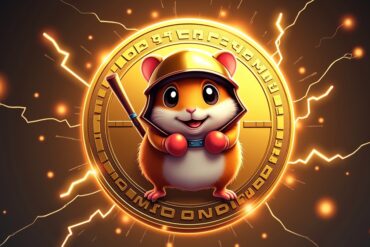 Hamster kombat coin